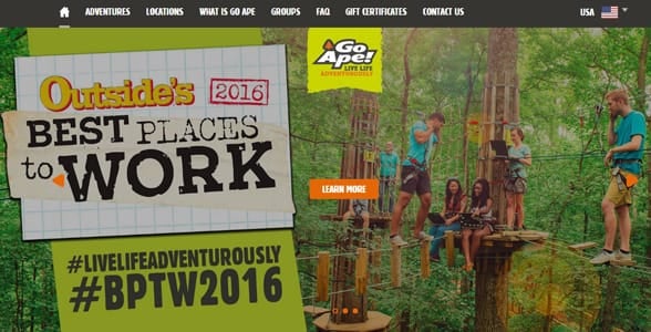 Screenshot of Go Ape's homepage