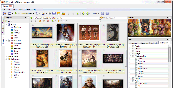 Screenshot of XnView for MP