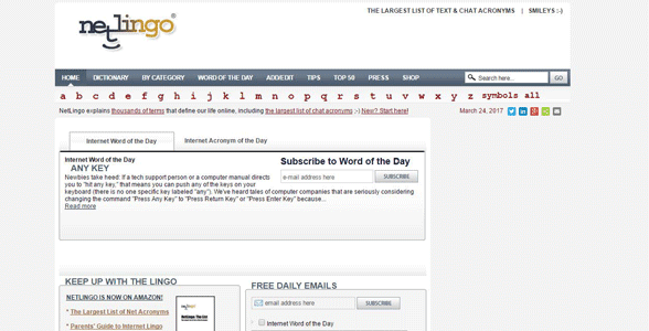 Screenshot of NetLingo's homepage