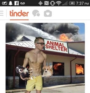 Photo of Reid carrying dogs out of a burning animal shelter