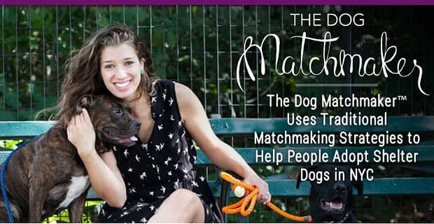 The Dog Matchmaker Traditional Matchmaking Strategies Connect People And Pups