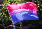 Photo of the bisexual pride flag
