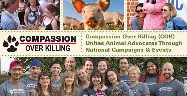 Compassion Over Killing Unites Animal Advocates In National Campaigns And Events