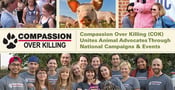 Compassion Over Killing (COK) Unites Animal Advocates Through National Campaigns &amp; Events