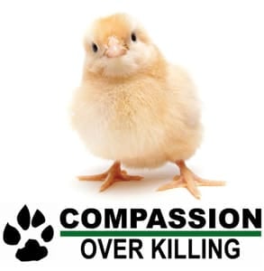 Photo of the Compassion Over Killing logo