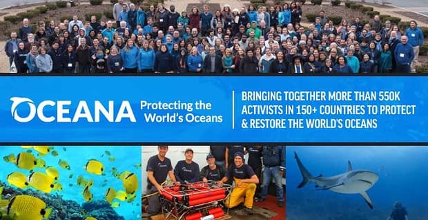 Oceana Brings People Together To Protect And Restore The Worlds Oceans