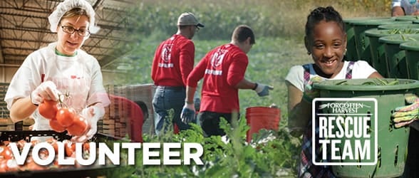 Photos of Forgotten Harvest volunteers
