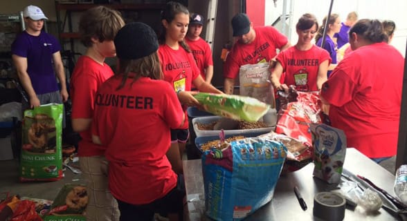 Photo of people volunteering in Jacksonville
