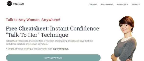 Screenshot of the Wingmam website