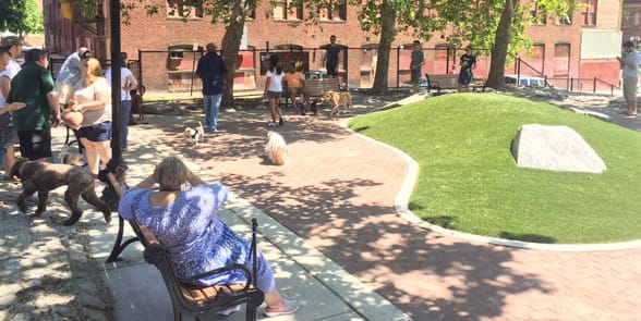 Photo of a dog park in Baltimiore