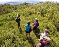 Honolulu Singles Events