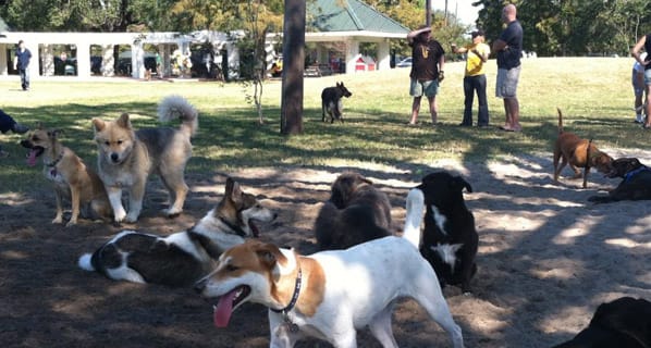 Photo of the NOLA City Bark Park