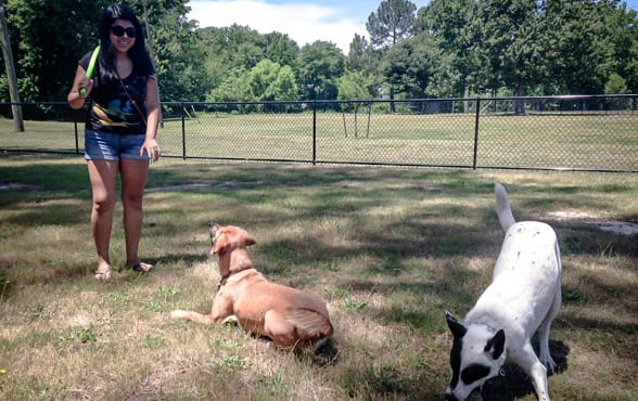 Photo of a dog park in Virginia Beach