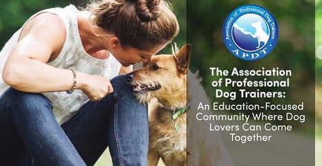 The Association Of Professional Dog Trainers An Educational Community For Dog Lovers