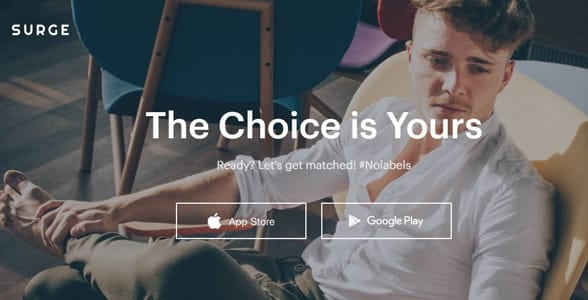 Screenshot of Surge's homepage