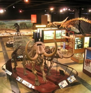 Photo of the University of Michigan Museum of Natural History