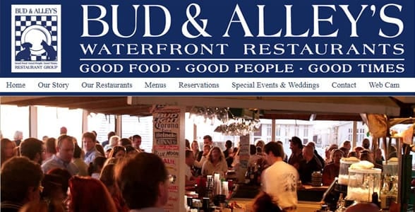 Screenshot of Bud and Alley's homepage
