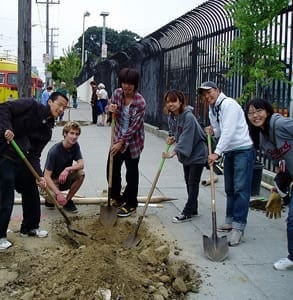 Photo of a Friends of the Urban Forest tree planting event in August 2006