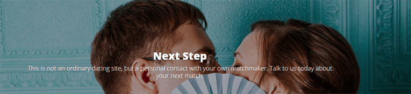 Screenshot from the Perfect Partners Next Step page Screenshot from the Perfect Partners Next Step page