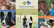 The Dumb Friends League Denver™: A Local Animal Shelter Fosters a Compassionate Community of 1,400+ Volunteers