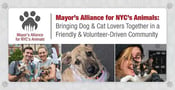 Mayor’s Alliance for NYC’s Animals: Bringing Dog &amp; Cat Lovers Together in a Friendly &amp; Volunteer-Driven Community