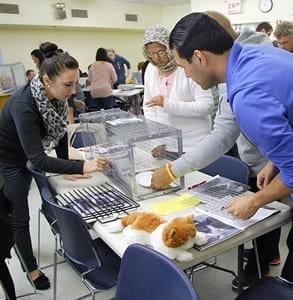Photo of a workshop hosted by the Feral Cat Initiative