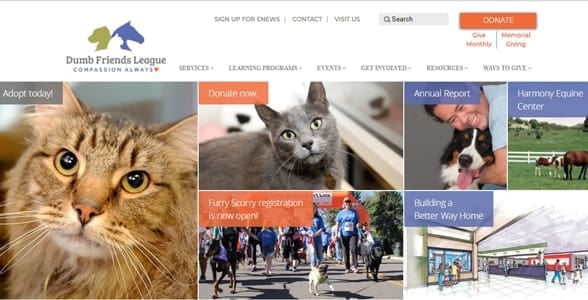 Screenshot of the Dumb Friends League homepage