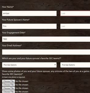 Screenshot of Johnsonville's contest submission page