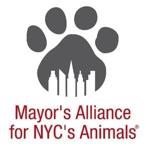 Photo of the Mayor's Alliance for NYC's Animals logo Photo of the Mayor's Alliance for NYC's Animals logo