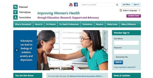 Screenshot of the NVA website