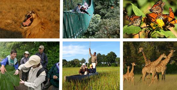 Collage of photos from Natural Habitat Adventure trips to Africa, Costa Rica, and Mexico