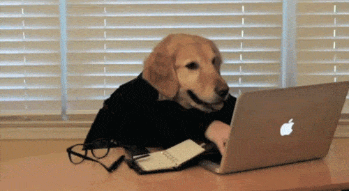 GIF of a dog typing