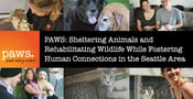 PAWS: Sheltering Animals and Rehabilitating Wildlife While Fostering Human Connections in the Seattle Area