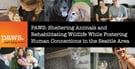 PAWS: Sheltering Animals and Rehabilitating Wildlife While Fostering Human Connections in the Seattle Area