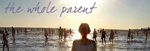 Photo from the Whole Parent Book website