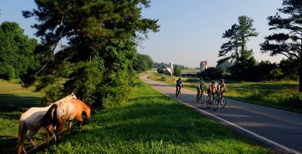 Photo of bikers in Chapel Hill