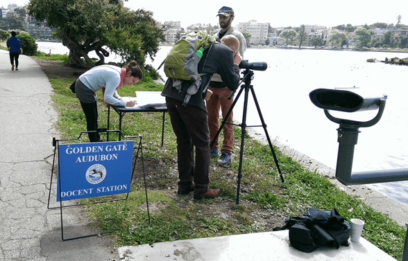 Photo of a Golden Gate Audubon Society docent