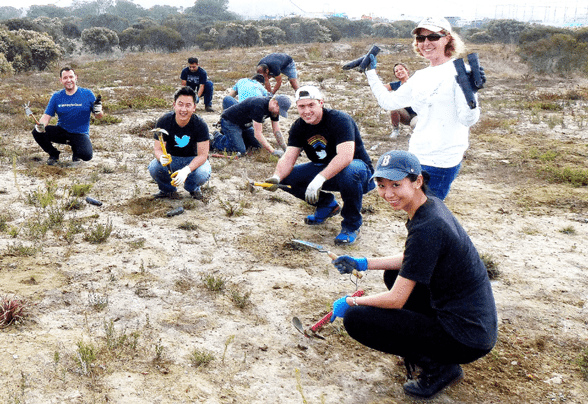 Photo of Golden Gate Audubon Society volunteers Photo of Golden Gate Audubon Society volunteers