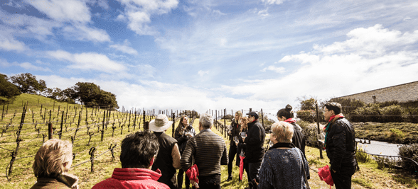 Photo of an Extranomical Tours excursion in wine country