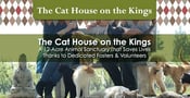 The Cat House on the Kings is a 12-Acre Animal Sanctuary That Saves Lives Thanks to Dedicated Fosters &amp; Volunteers