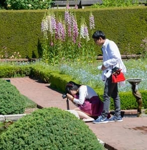 Photo of a couple touring Filoli's gardens