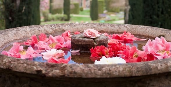 Photo of a marble fountain at Filoli