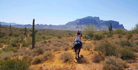 Photo of horseback riding in Mesa, Arizona