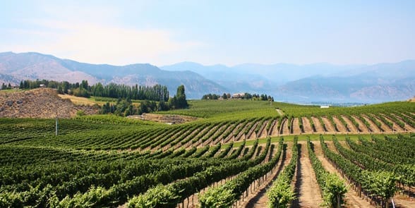 Photo of a winery in Lake Chelan