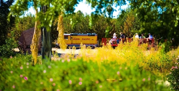 Photo of the train at Schenepf Farms