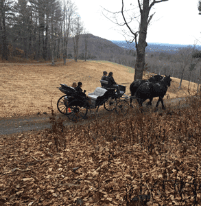 Photo of a carriage ride through Frederic Church's Olana