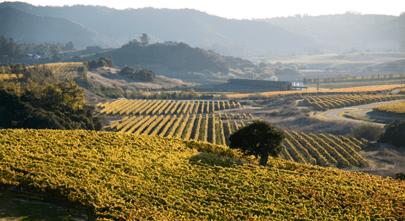 Photo of San Luis Obispo wine country