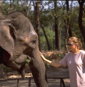 Photo of a Journeys International excursion to pet elephants