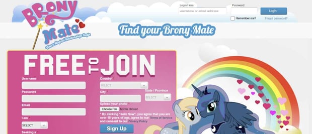 Screenshot of BronyMate's homepage