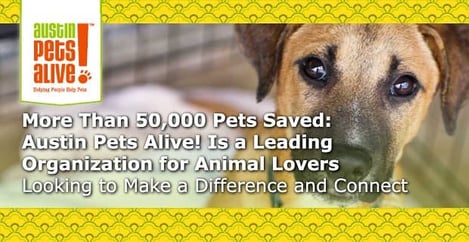 Austin Pets Alive Helps Animal Lovers Make A Difference